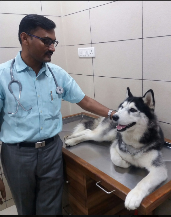 Happy pet with advanced care